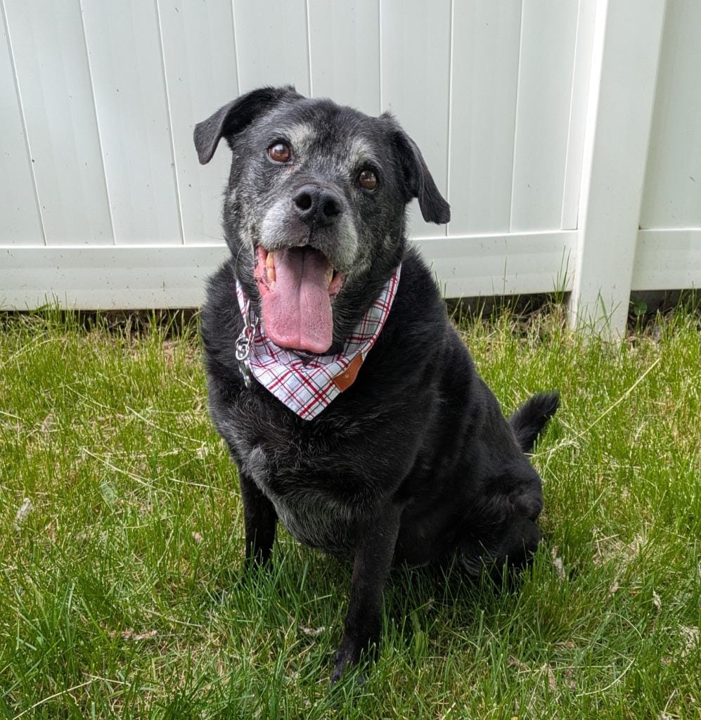 Max