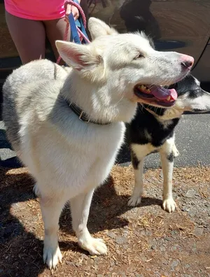 Sitka