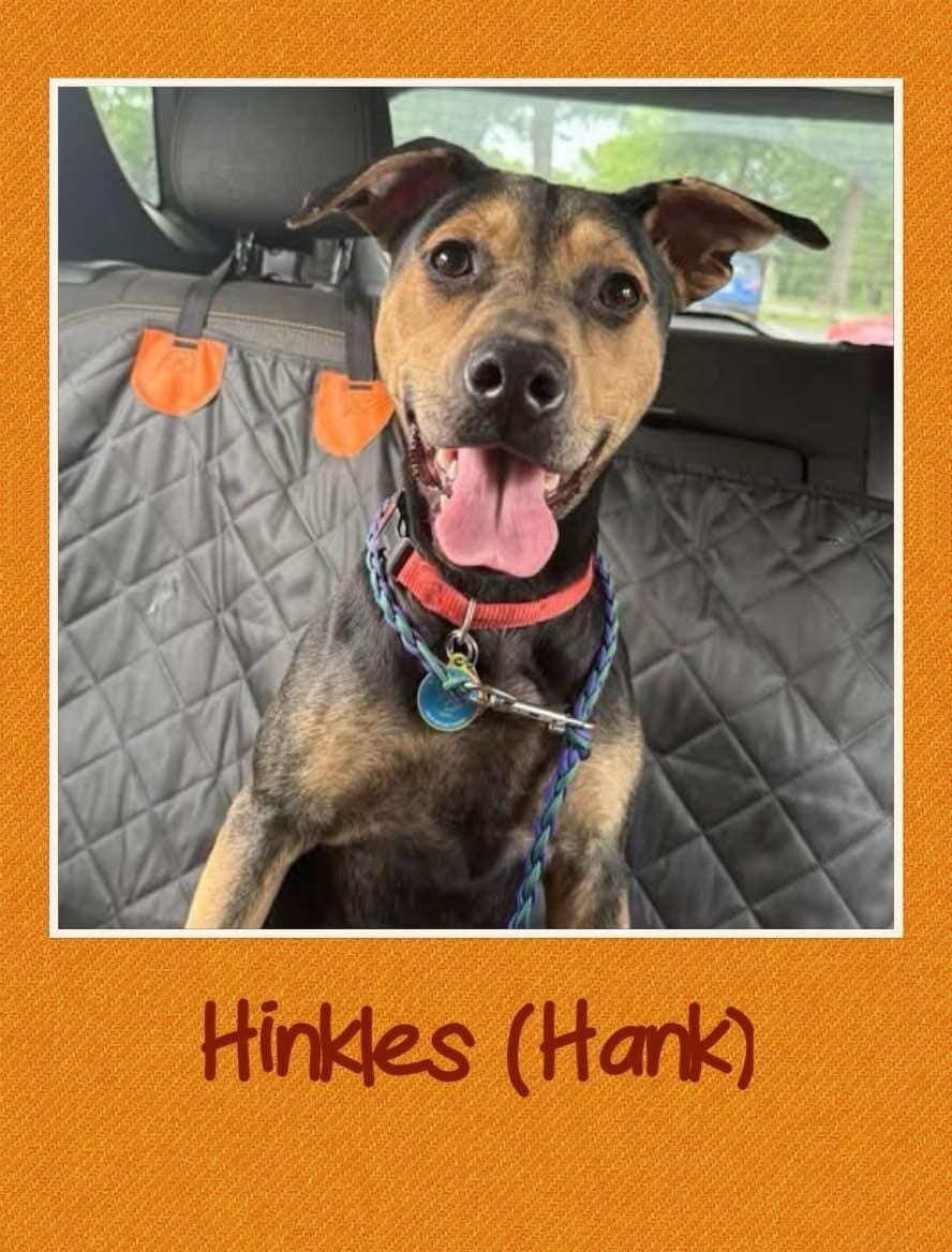 Hank