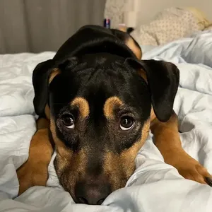 Lucky