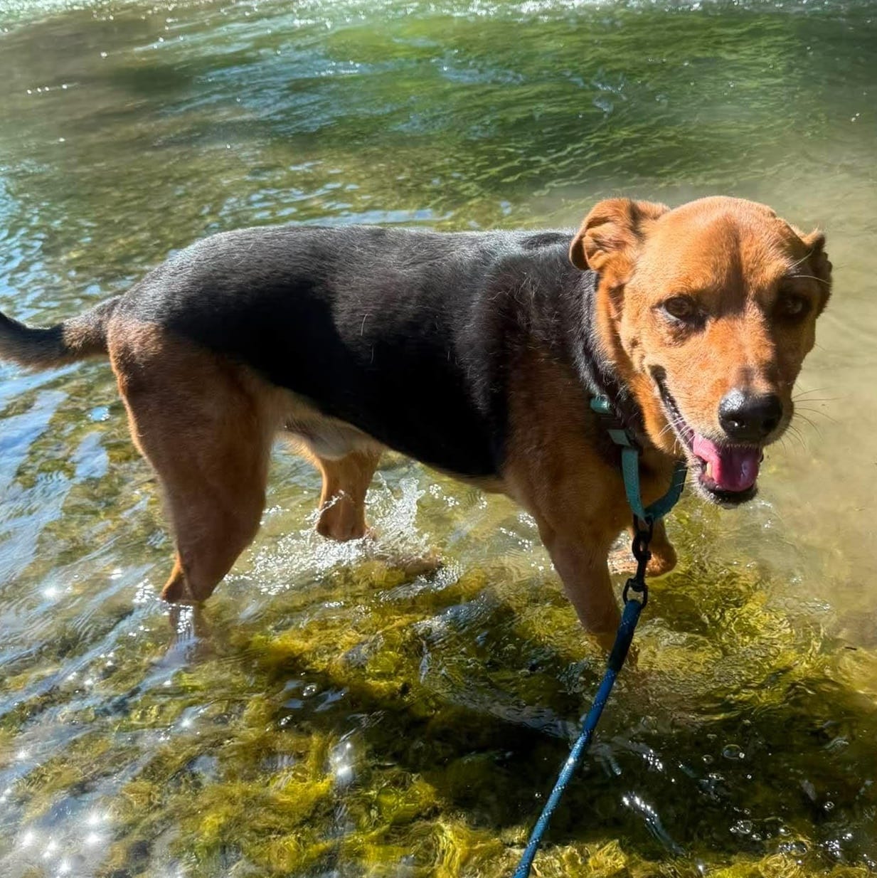 Max