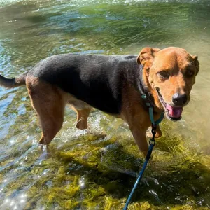 Max