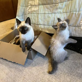 Bree and Scrap