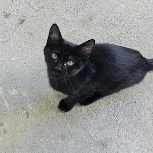 Jack
