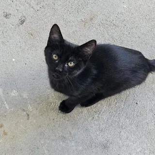 Jack