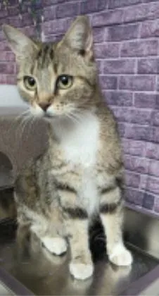 Della