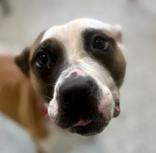 Marnie