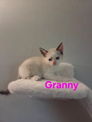 Granny