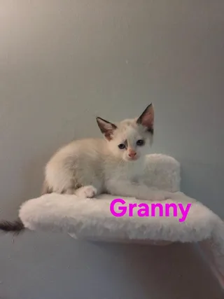 Granny