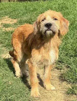 Xavier