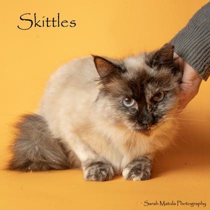 Skittles