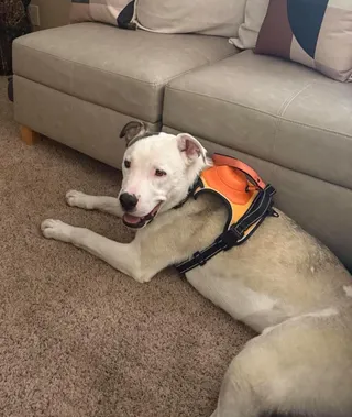 Benny