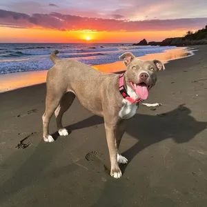 Xena