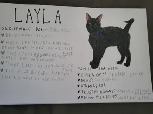 Layla