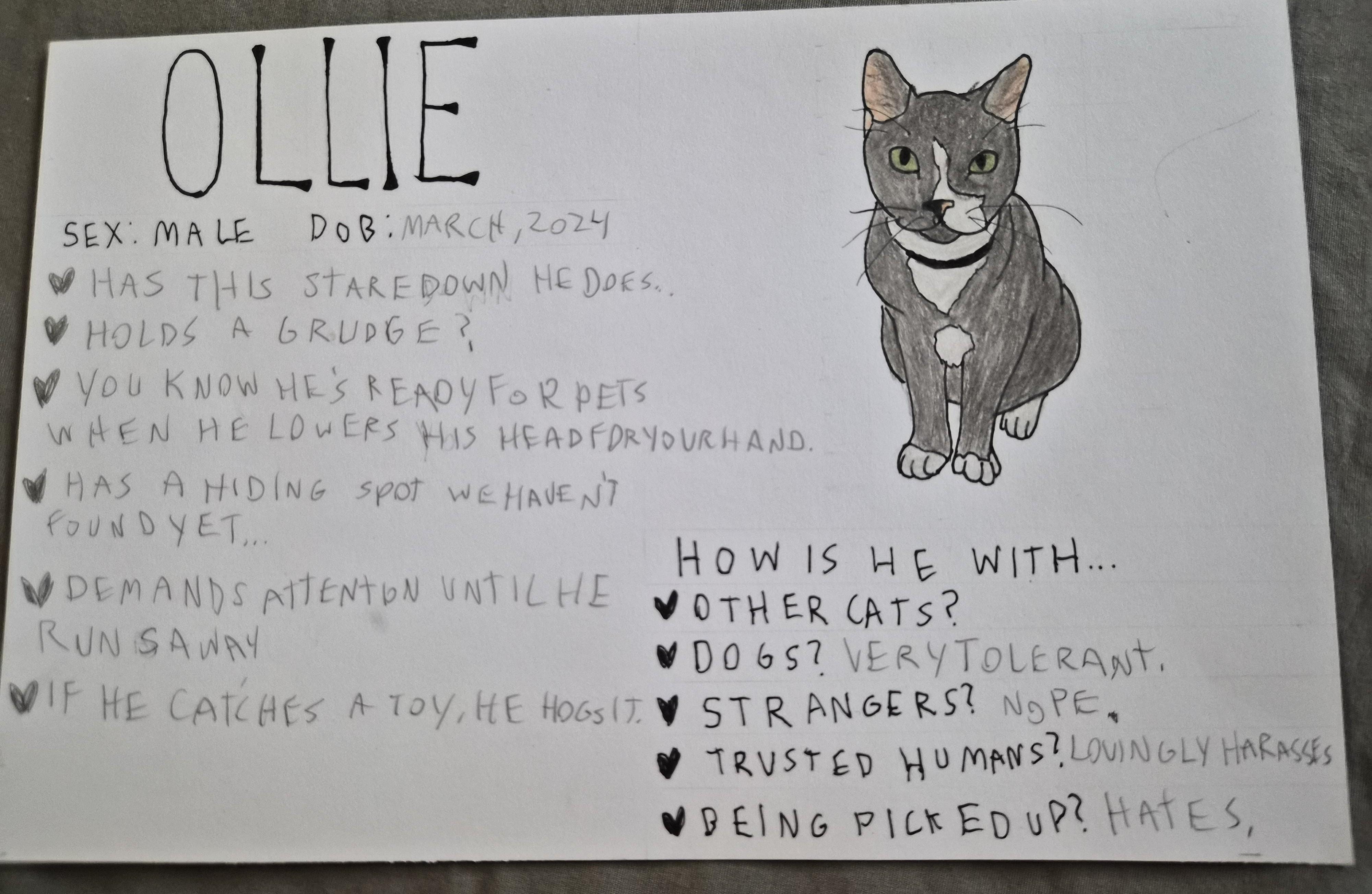 Ollie