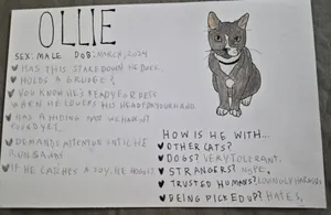 Ollie