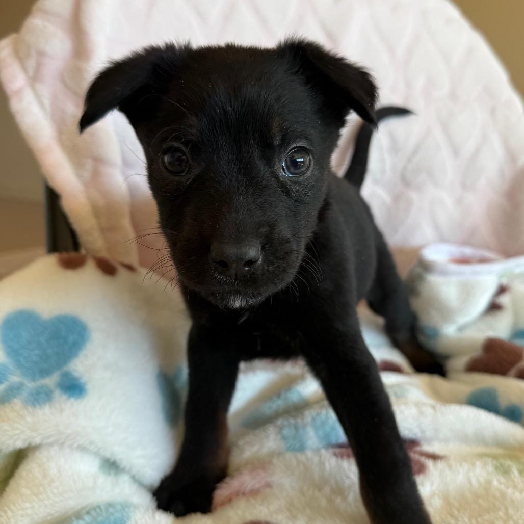 Winnie