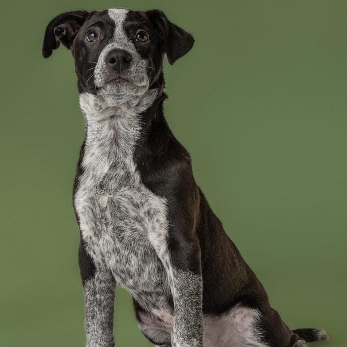 AAD Upcoming Arrival!  Esther - 26111