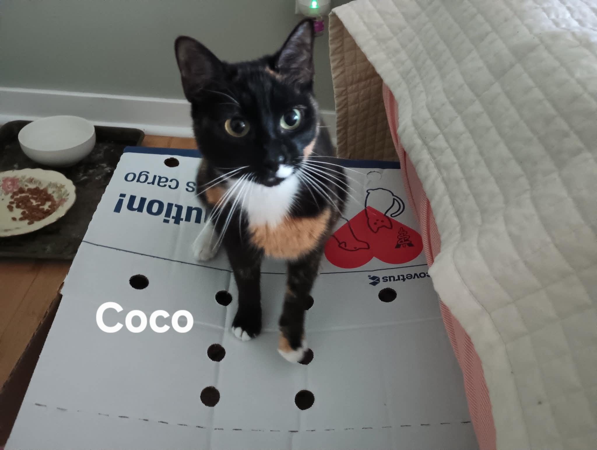 Coco