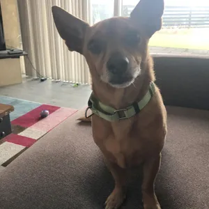 Nicky