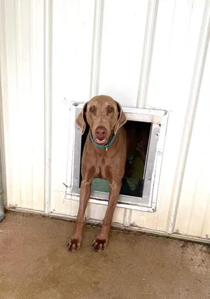 Sadie