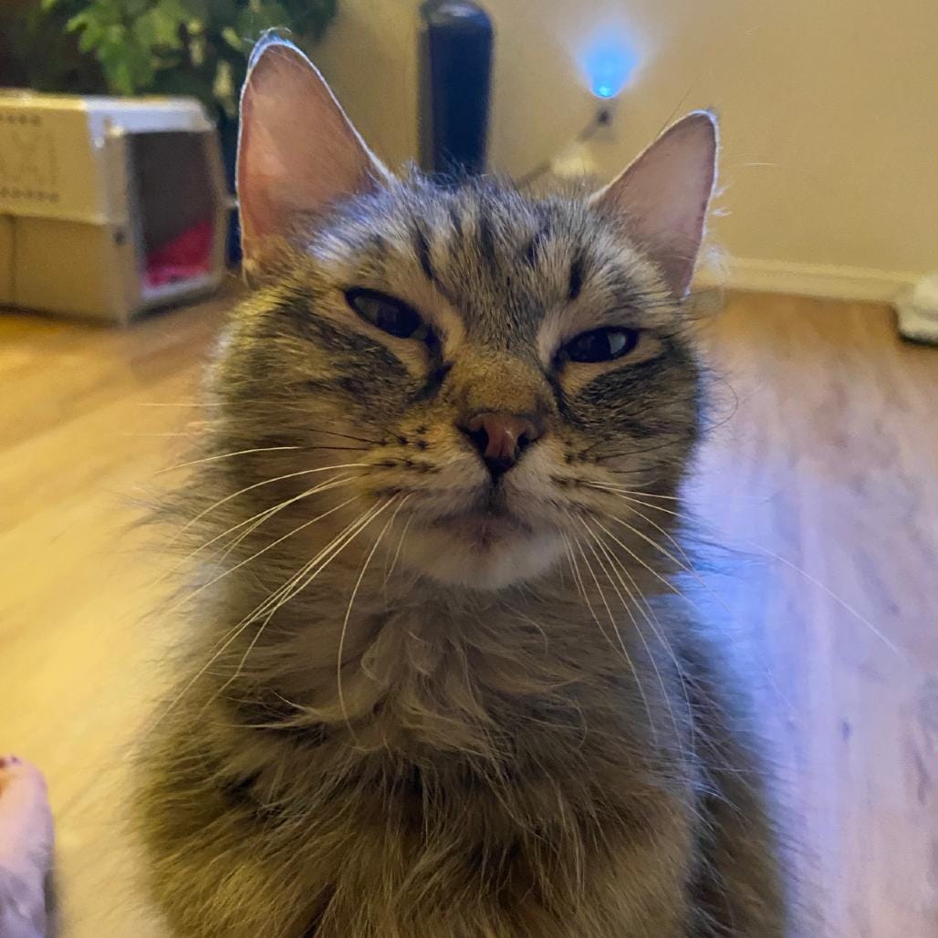 Kiki