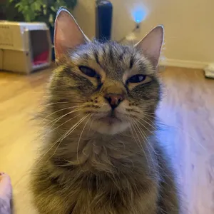 Kiki