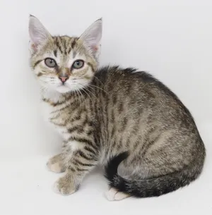 Andarna is a living mini baby doll