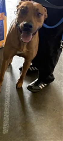 CANELO