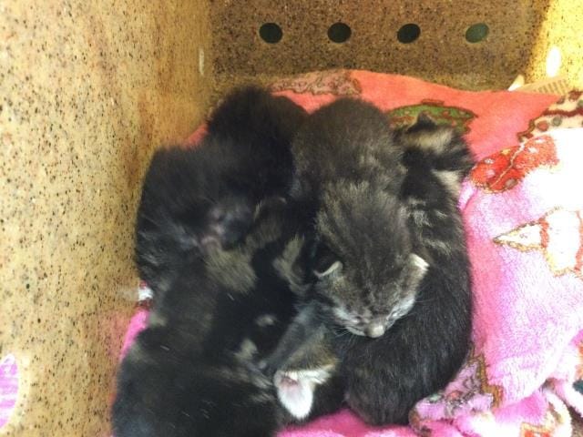 A1917669