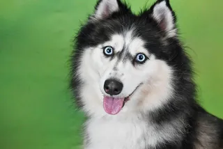 KORA