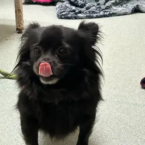 Ellie