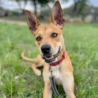 Zoey
