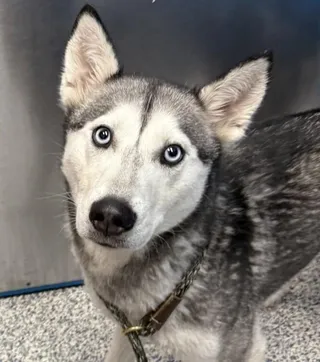 Luna