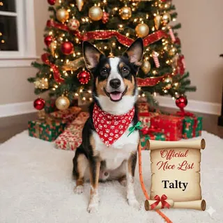 TALTY