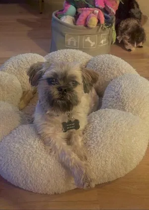 Hugo