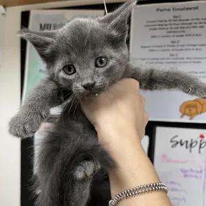 Tony