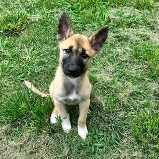 Zoe