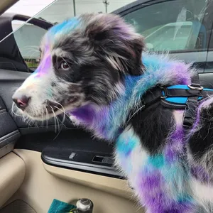 Skittles