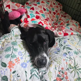 Chloe