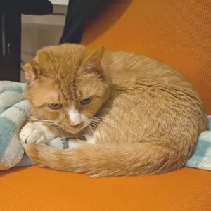 KuKu