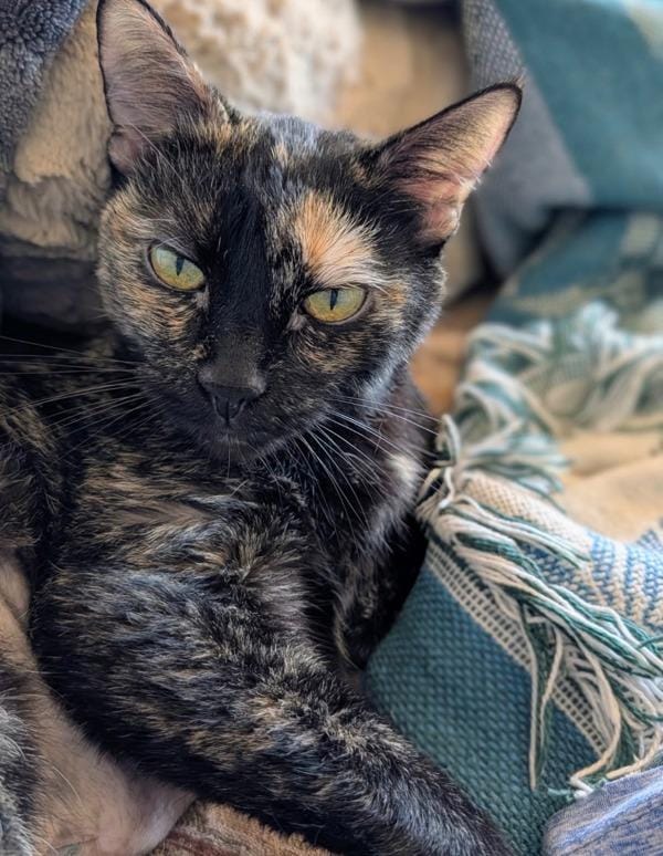 Zoey