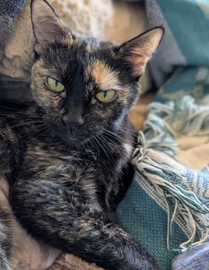 Zoey