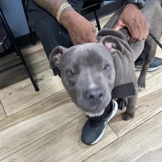 Quick Silver