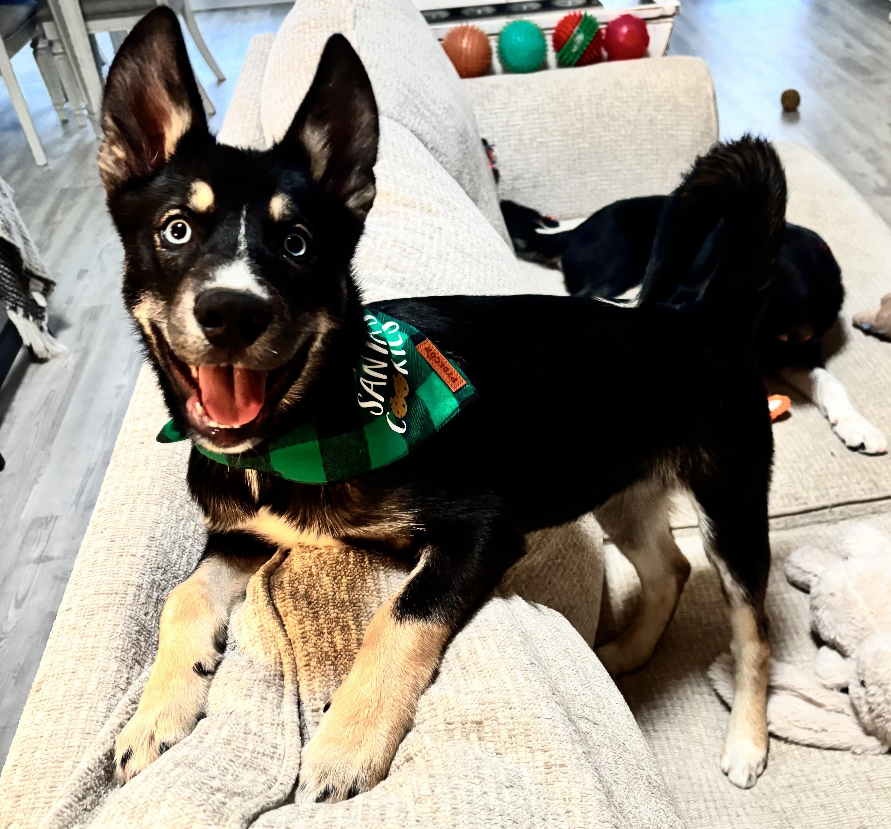 Milo