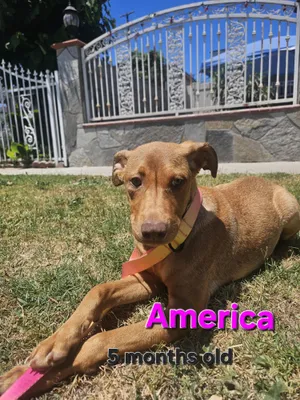 America