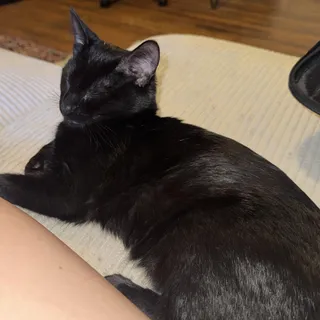 Jack
