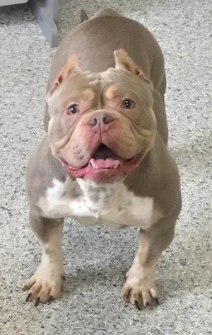 Luna
