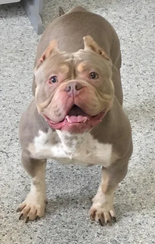 Luna
