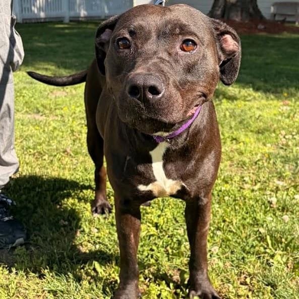 Kaia